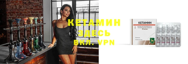 стафф Новодвинск