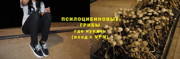 стафф Новодвинск