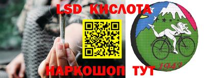 стафф Гусев