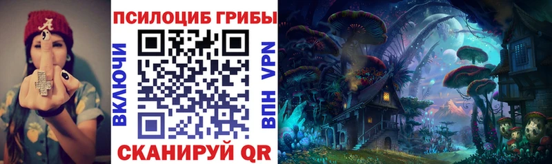 Псилоцибиновые грибы Psilocybe Ишимбай