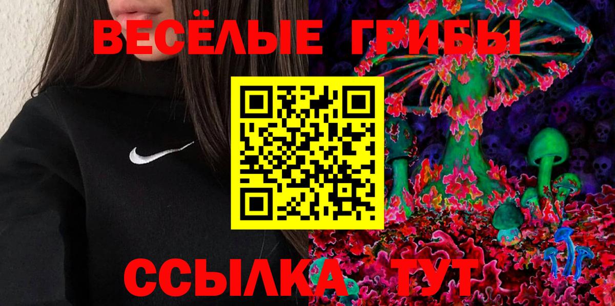 Галлюциногенные грибы Psilocybe  Вход с VPN  Ишимбай  цены наркотик  Галлюциногенные грибы GOLDEN TEACHER 