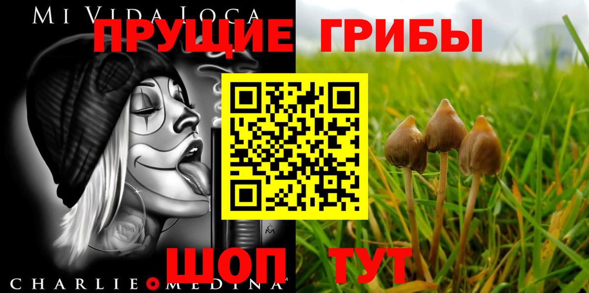 Псилоцибиновые грибы Magic Shrooms Ишимбай